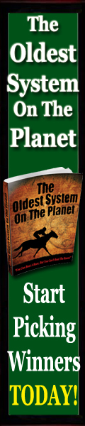 Horse Betting Guide