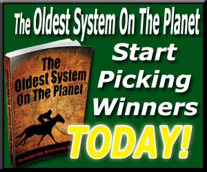 Horse Betting Guide